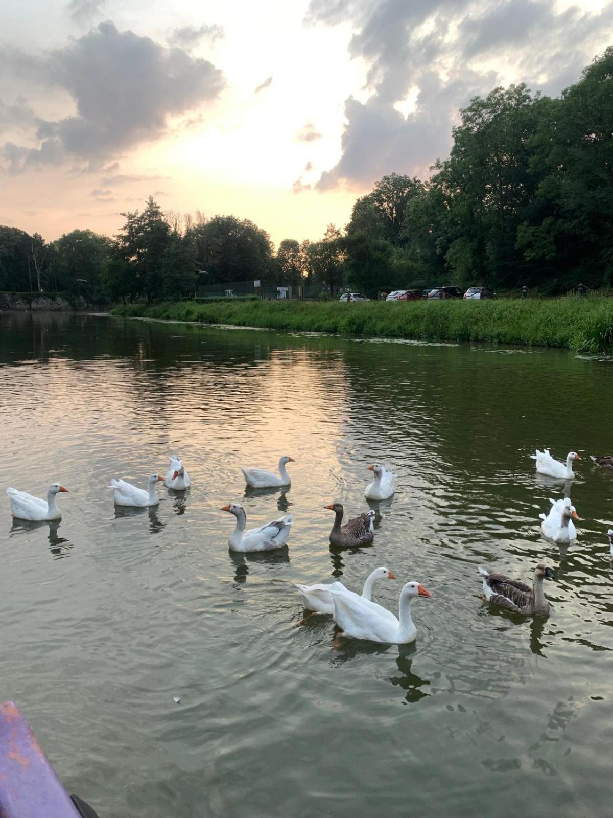 Nuit Insolite A Bord D'Une Peniche, 6 Personnes Bergues Esterno foto